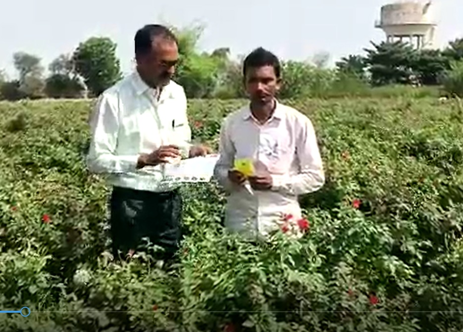Roses FB Video from MP 22 4 22