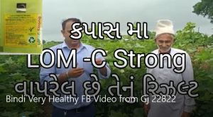 Bindi Very Healthy FB Video from Gj 22822