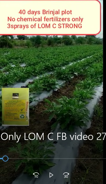 No Chemicals Only LOM C FB video 2722