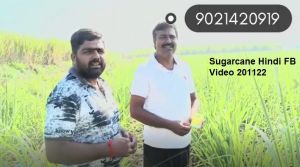 Sugarcane Hindi FB Video 201122