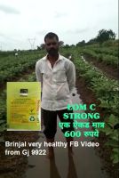 Brinjal very healthy FB Video from Gj 9922