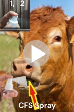 How to give CFS Spray video images