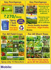 Banner Size 4 feet x 6 feet
